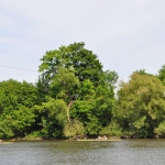 DSC_0076.jpg
